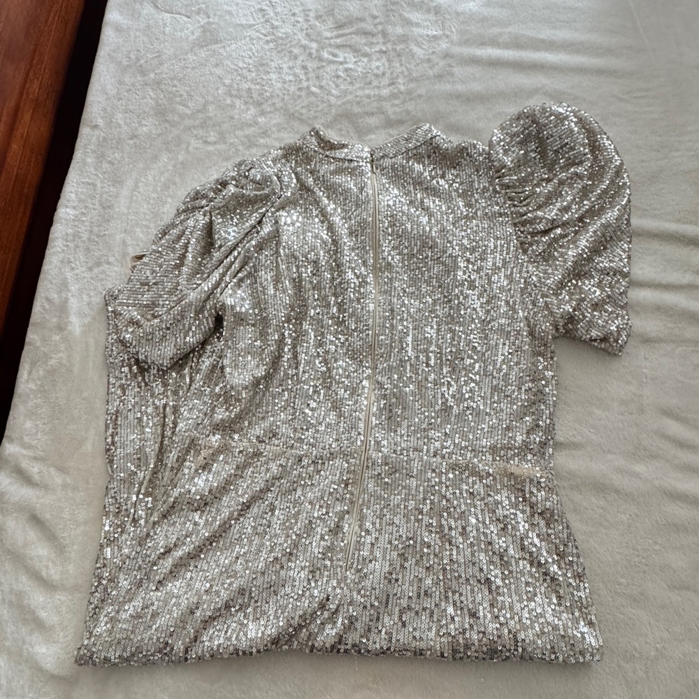 H&M Silver Sequin Dress - Picture 5 of 5